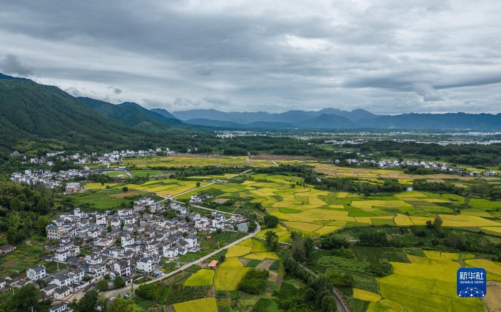花金宝app官网最新版